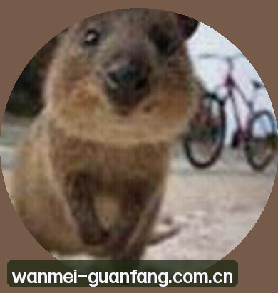 陈静