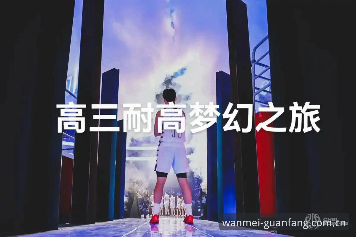 完美体育官网深度评测：基于用户反馈的全面体验攻略